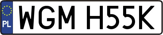 WGMH55K