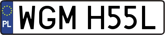 WGMH55L