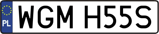 WGMH55S