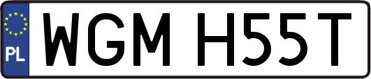 WGMH55T