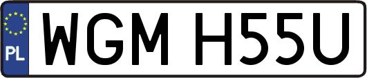 WGMH55U