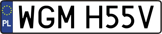 WGMH55V