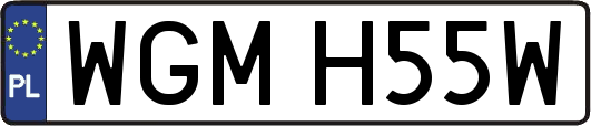 WGMH55W