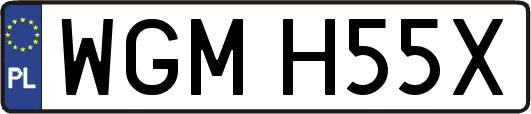 WGMH55X