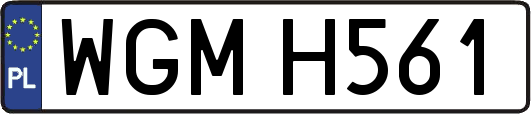 WGMH561