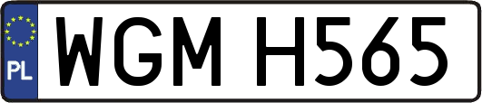 WGMH565