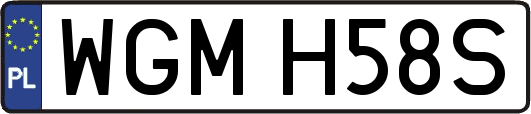 WGMH58S