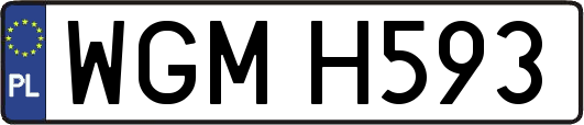 WGMH593