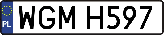 WGMH597