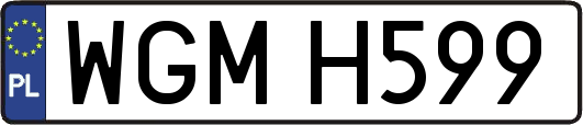 WGMH599