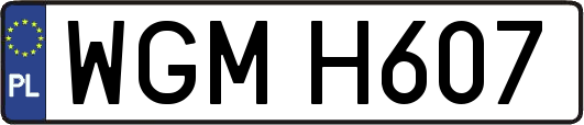 WGMH607