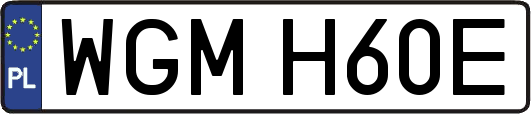 WGMH60E