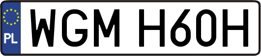 WGMH60H