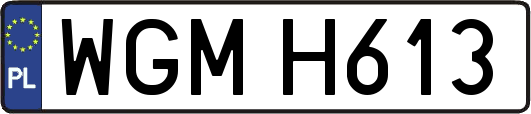 WGMH613