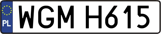 WGMH615