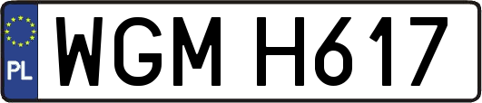 WGMH617
