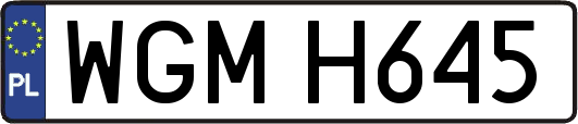 WGMH645