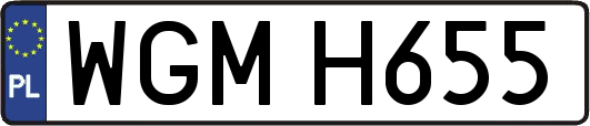 WGMH655
