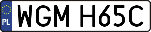 WGMH65C