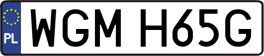 WGMH65G