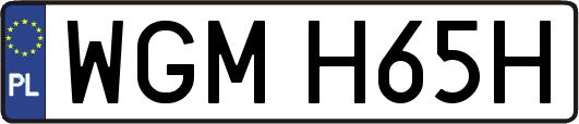 WGMH65H