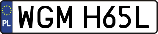 WGMH65L