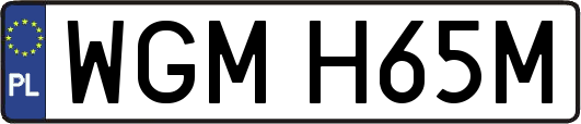 WGMH65M