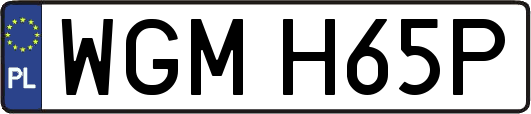 WGMH65P