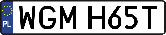 WGMH65T