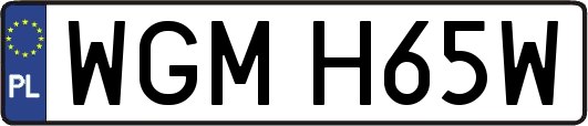 WGMH65W