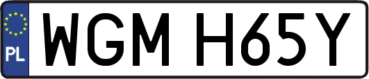 WGMH65Y