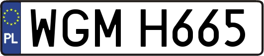 WGMH665