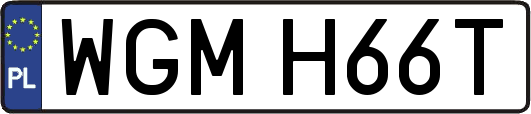 WGMH66T