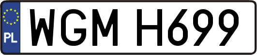 WGMH699