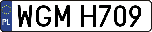 WGMH709