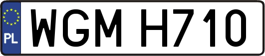 WGMH710