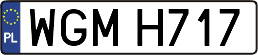 WGMH717