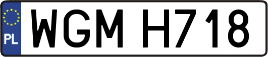 WGMH718