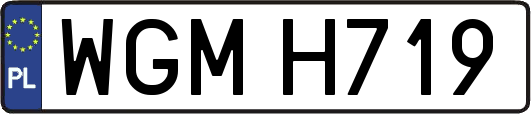 WGMH719