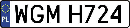 WGMH724