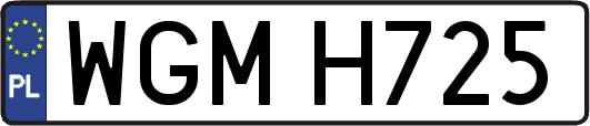 WGMH725
