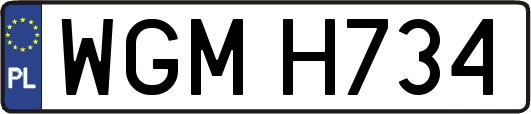 WGMH734