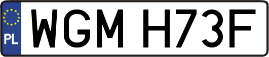 WGMH73F