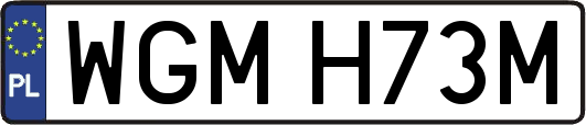 WGMH73M