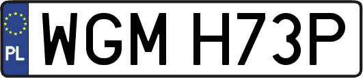 WGMH73P