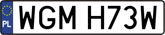 WGMH73W