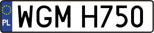 WGMH750