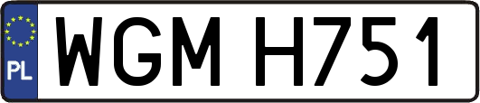 WGMH751
