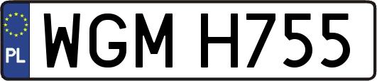 WGMH755