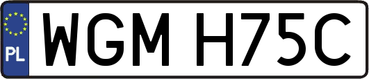WGMH75C